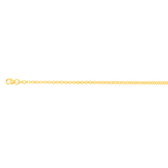 9ct Yellow Gold Silverfilled Fancy Belcher 27cm Anklet