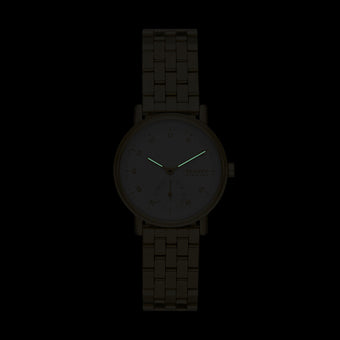 Skagen SKW3102 Kuppel Lille