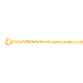 Sterling Silver Yellow Gold Plated Cubic Zironica Bolting 19cm Belcher Bracelet