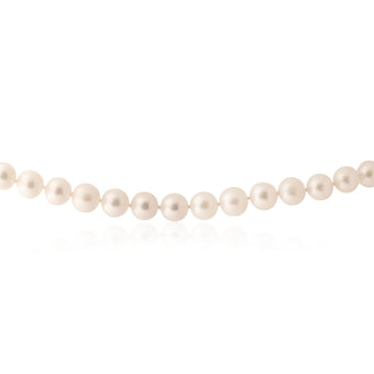 White Freshwater Strand White Pearl Necklace