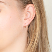 Load image into Gallery viewer, 9ct Yellow Gold 10mm Sleeper Earrings