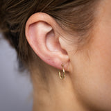 9ct Yellow Gold Twisted Creole Hoop Earrings