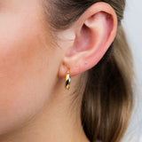 9ct Yellow Gold Polished 10mm Hoop Earrings