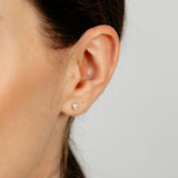 Cubic Zirconia 4mm Stud Earring in 9ct Yellow Gold