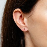 Pearl Stud Earrings in 9ct Yellow Gold