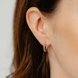 9ct Two Tone Gold Silverfilled Small Twist Hoop Earrings