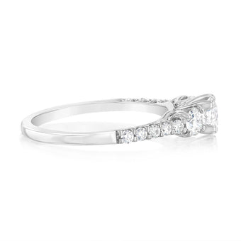 14ct White Gold 1 Carat Brilliant Cut Diamond Trilogy Ring with Diamond on Shank