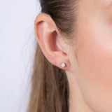 0.30 Carat Diamond Stud Earrings in 9ct Yellow Gold
