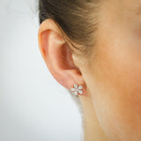 1/10 Carat Diamond Stud Earrings in 9ct Yellow Gold