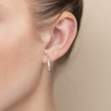 1/4 Carat Diamond Hoop Earrings in 9ct Yellow Gold