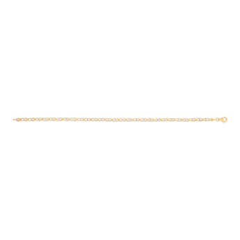1/10 Carat Diamond 18cm Bracelet in Gold Plated Sterling Silver