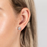 Luminesce Lab Grown 4 Carat ScrewbackSolitaire Diamond Stud Earrings in 14ct White Gold