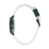 Cactus Time Teacher CAC143M12 Dinosaur