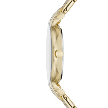 Skagen SKW3132 Anita Lille Ladies Watch