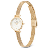 Daniel Wellington DW00100745 Petite Mini Evergold