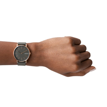 Skagen Signatur SKW2794