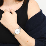 Daniel Wellington Petite DW00100859