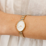 Skagen Anita Oval SKW3183