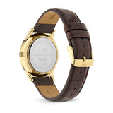 Daniel Wellington Pathfinder GMT DW00100974