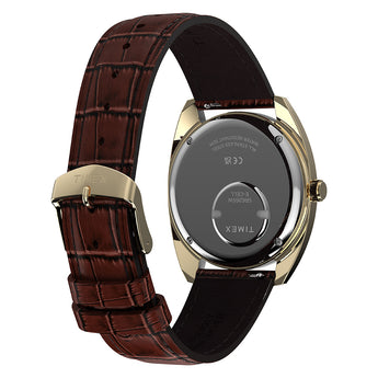 Timex 1976 Fume Reissue TW2Y87200