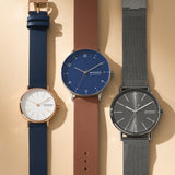 Skagen Signatur SKW6577