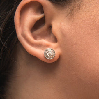 14 Brilliant Diamonds Stud Earrings in Sterling Silver