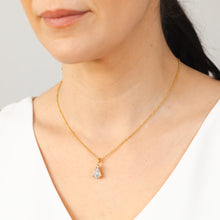Load image into Gallery viewer, Sterling Silver 14ct Gold Plated White Cubic Zirconia Pendant On Chain