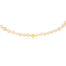 Load image into Gallery viewer, Golden South Sea 10mm Pearl Strand with 9ct Yellow Gold Clasp