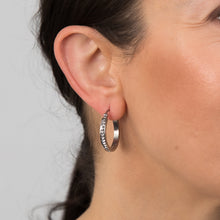 Load image into Gallery viewer, Stainless Steel 25mm Half Circle Crystal Hoop Earrings