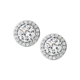 Michael Kors Sterling Silver Premium Round CZ Halo Stud Earring