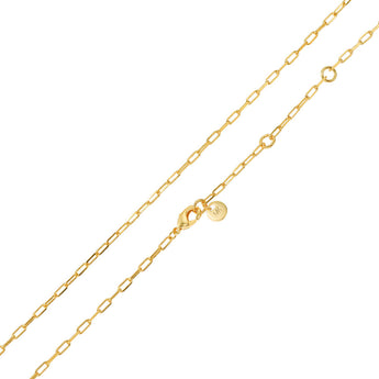 Michael Kors 14ct Yellow Gold Plated Brass Malachite Acetate Dog Tag Pendant with Chain