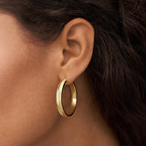 Fossil Yellow Gold Plated Stainless Steel  Harlow Earring