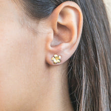 Load image into Gallery viewer, 9ct Yellow Gold Flower Stud Earrings
