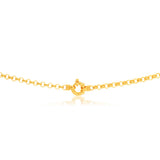 9ct Yellow Solid Gold Belcher Chain