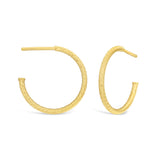 9ct Yellow Gold Hoop Earrings