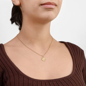 9ct Yellow Gold Zodiac Pisces Pendant