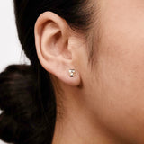 9ct Yellow Gold Enamel Owl Stud Earring