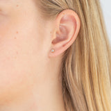 9ct Yellow Gold 3mm Cubic Zirconia Brilliant Cut Stud Earrings