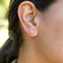 Load image into Gallery viewer, 9ct White Gold 1/4 Carat Diamond Cluster Stud Earrings