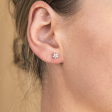 Load image into Gallery viewer, Luminesce Lab Grown Diamond 1/4 Carat Diamond Earrings in 9ct Yellow Gold