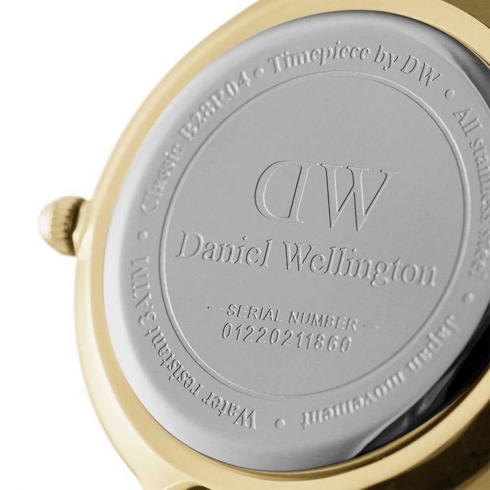 Daniel Wellington Petite Evergold DW00100350