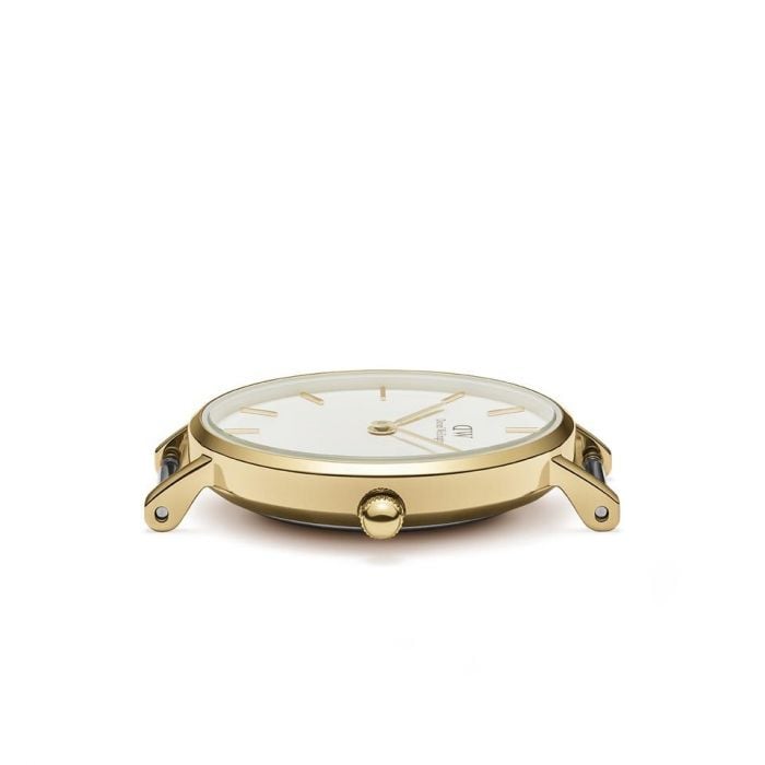 Daniel Wellington Petite Evergold DW00100350 Gold Ladies Watch