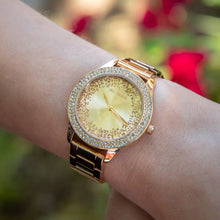 Load image into Gallery viewer, Ellis &amp; Co Eva Glitz Rose Gold Plated Womens Watch
