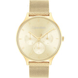 Calvin Klein Timeless 25200103 Multi-Function