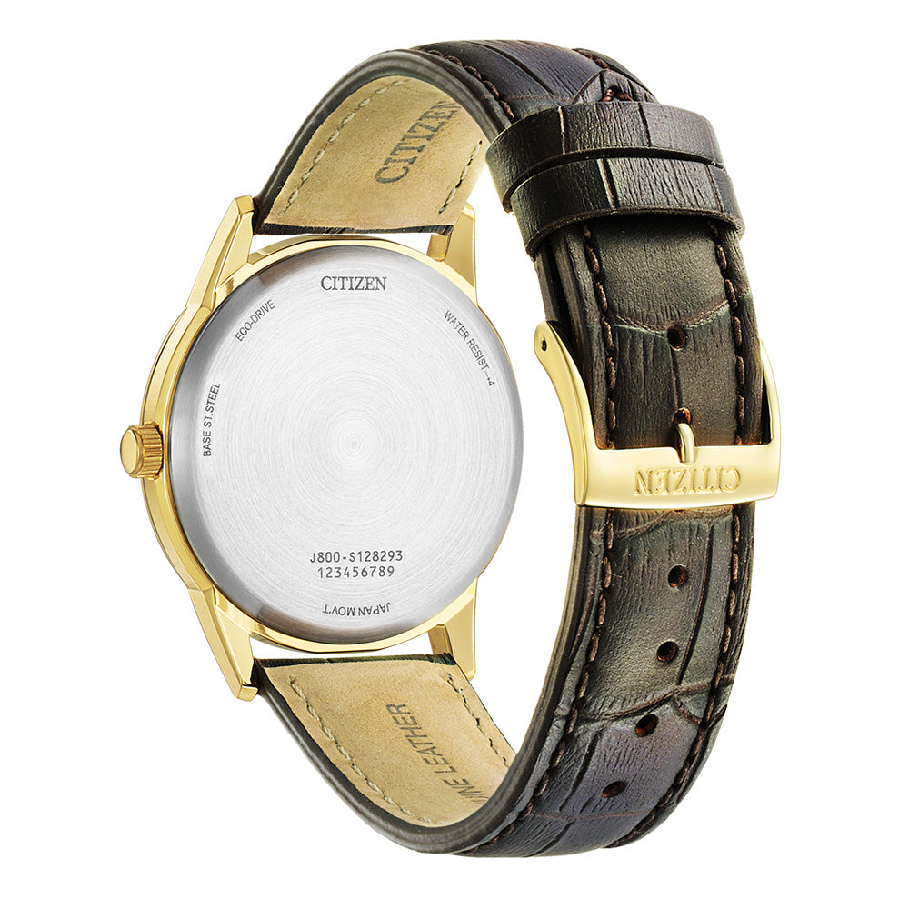 Citizen AW0102-13A Eco-Drive Dress Collection Mens Watch