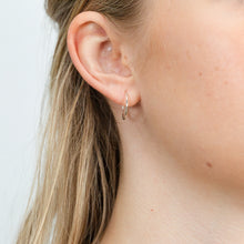Load image into Gallery viewer, Sterling Silver Faceted Sleeper 13mm Earrings