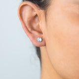 Sterling Silver Light Blue Crystal  5mm 6 Claw Studs SS