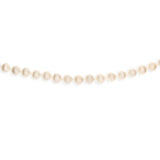 Cream Freshwater Pearl 45cm Necklace
