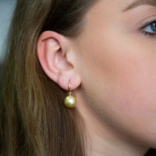 Load image into Gallery viewer, 9ct Yellow Gold 10-12mm Golden South Sea Pearl Earrings
