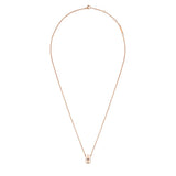 Daniel Wellington Two Tone Rose Gold And Stainless Steel Emalie 45cm Chain